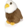 Audubon Bald Eagle