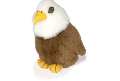 Audubon Bald Eagle