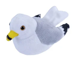 Audubon Ring Billed Gull