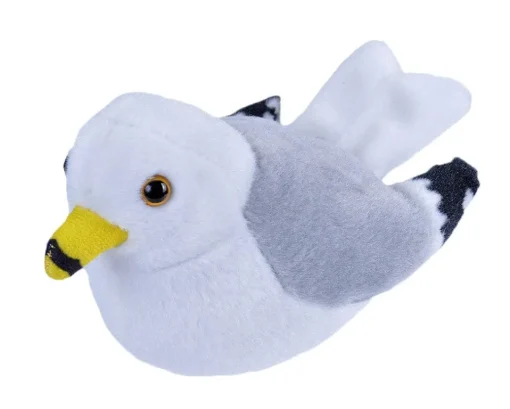 Audubon Ring Billed Gull