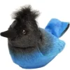 Audubon Stellers Jay