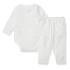 Burt's Bees Organic Baby Bodysuit Set Green Slub Stripe