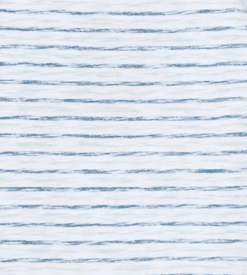 Burt's Bees Organic Baby Bodysuit Set Blue Slub Stripe
