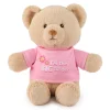 GUND "I'm the Big Sister Bear" Pink 12"