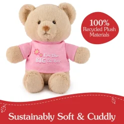 GUND "I'm the Big Sister Bear" Pink 12"