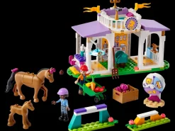LEGO® Friends Horse Training 41746
