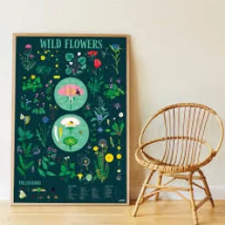 Poppik Discovery Posters - Botanic